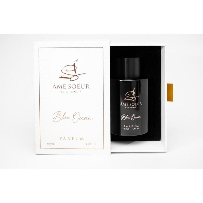 BLUE OCEAN AME SOEUR PERFUMES 100ML FOR MEN منصة سلة